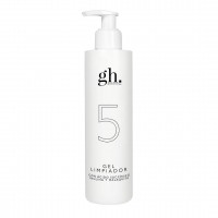 Comprar Gh 5 Gel Limpiador 250ml a precio online