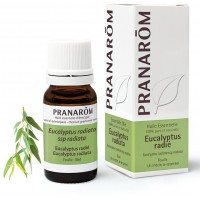 PRANAROM ACEITE ESENCIAL EUCALIPTO RADIATA  1 ENVASE 10 ML